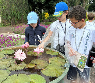 Foto de alunos do Ensino Fundamental I